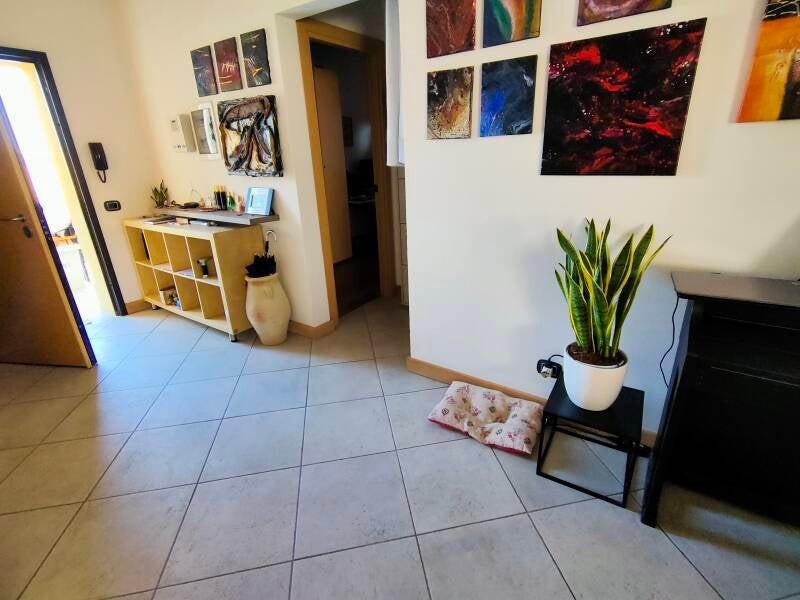 Ingresso Studio