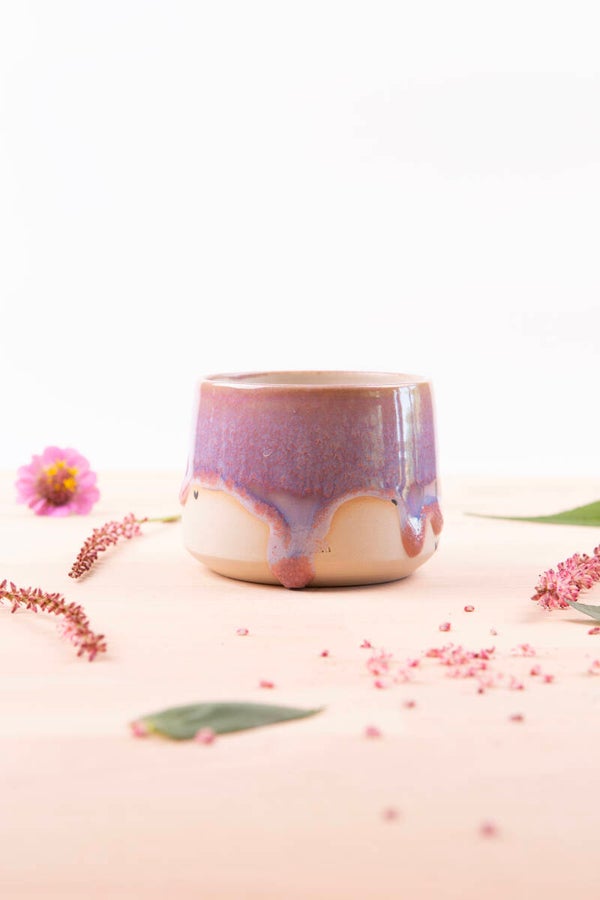 **Cup (0223)