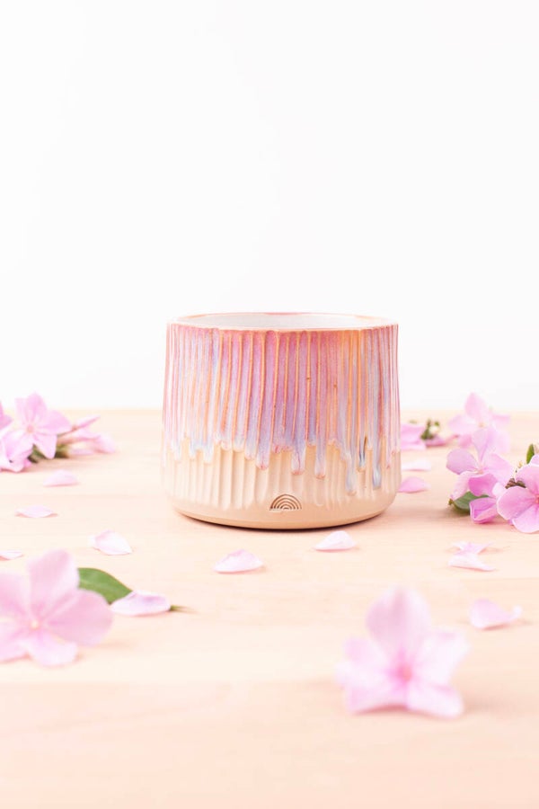 Cup (9979)