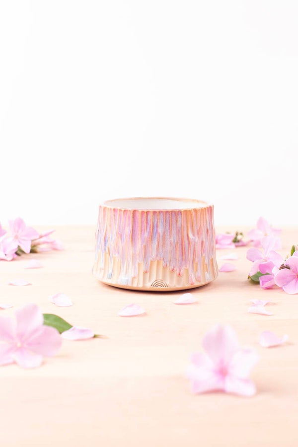 Cup (9981)