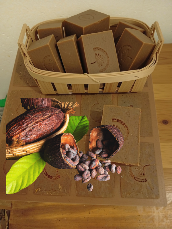 Savons hydratant au cacao pur