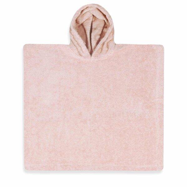 Poncho Blush rose