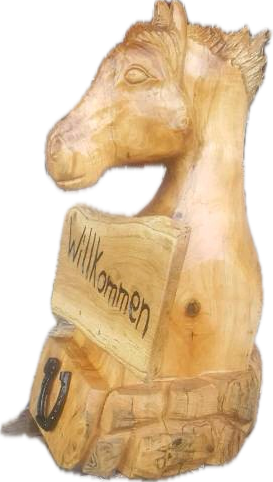 img_4450-standard-iizxbr.png