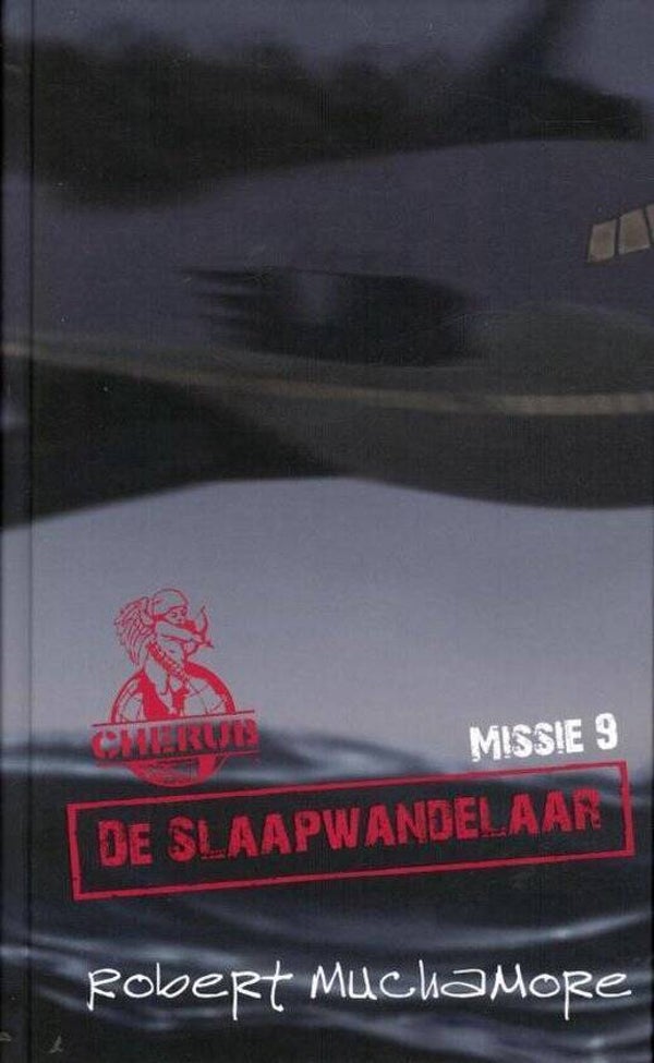 De slaapwandelaar