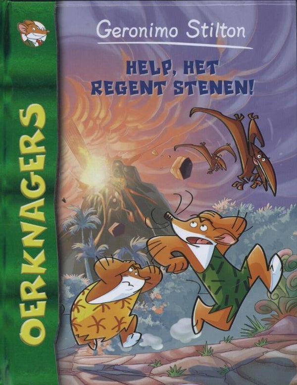Help het regent stenen