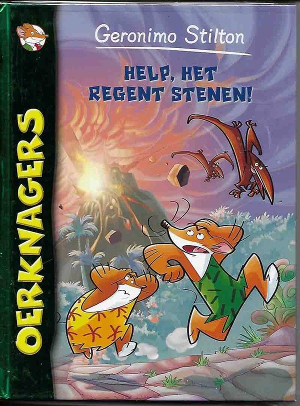 Help het regent stenen !