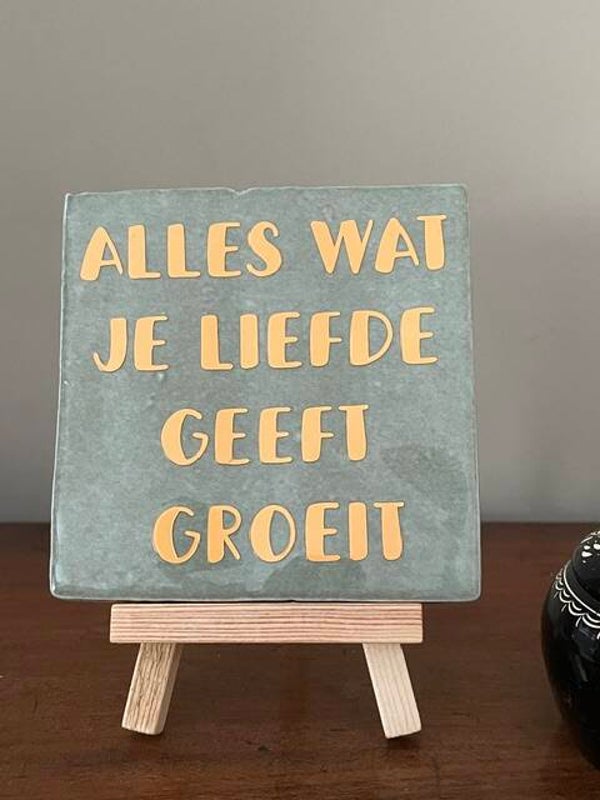 Alles wat je liefde geeft groeit