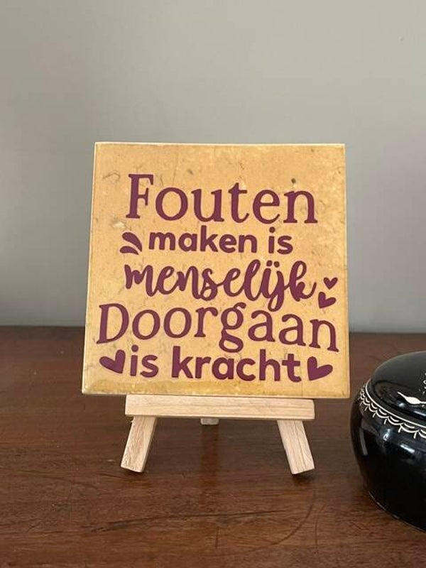 Fouten maken is menselijk doorgaan is kracht