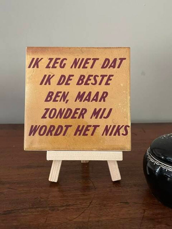 Ik zeg niet dat ik de beste ben, maar zonder mij wordt het niks