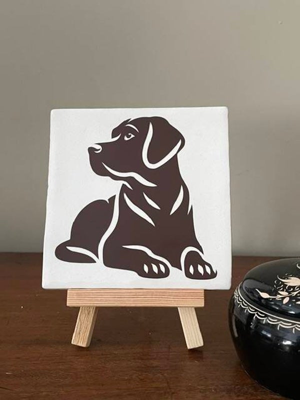 Labrador liggend