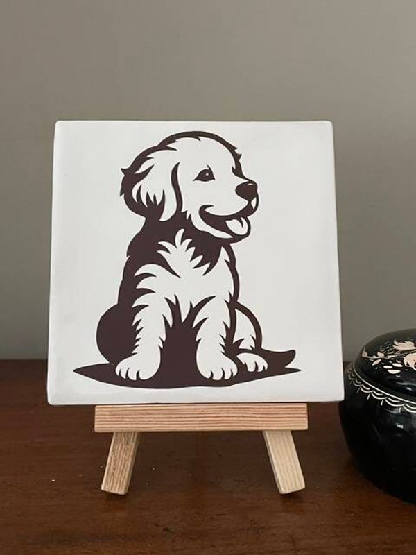 Labrador pup