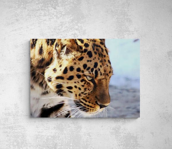 LEOPARD tête de: