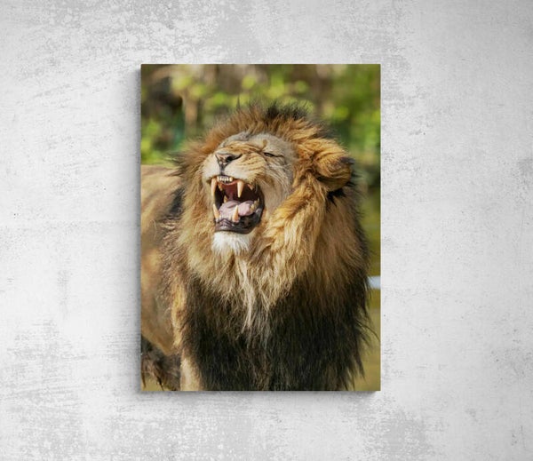 Un LION