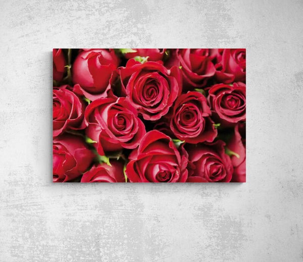 ROSES rouge
