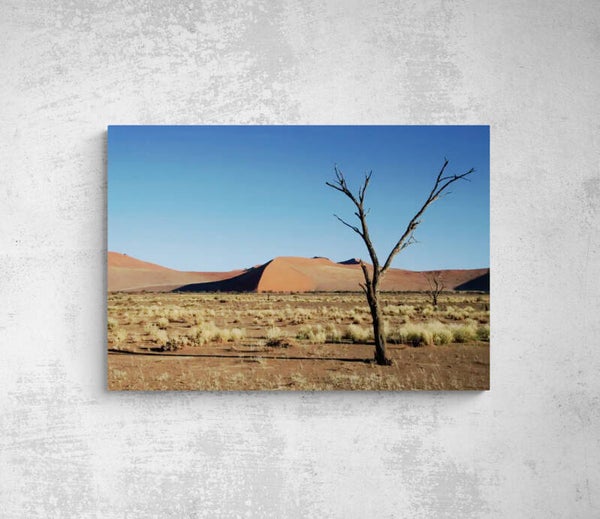 NAMIBIE une dune dans le désert