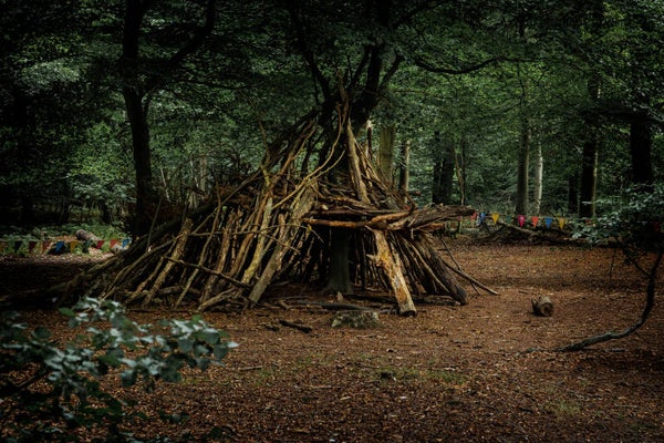 Woodland den