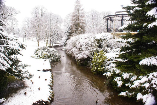 Winter wonderland