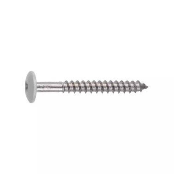 VIS INOX LAQUEE TWS - D12 - 4,8X38 0074 PASTEL gris GREY - NCS-S-2502-B - BOÎTE 250 UNITÉS SFS REF 1034456