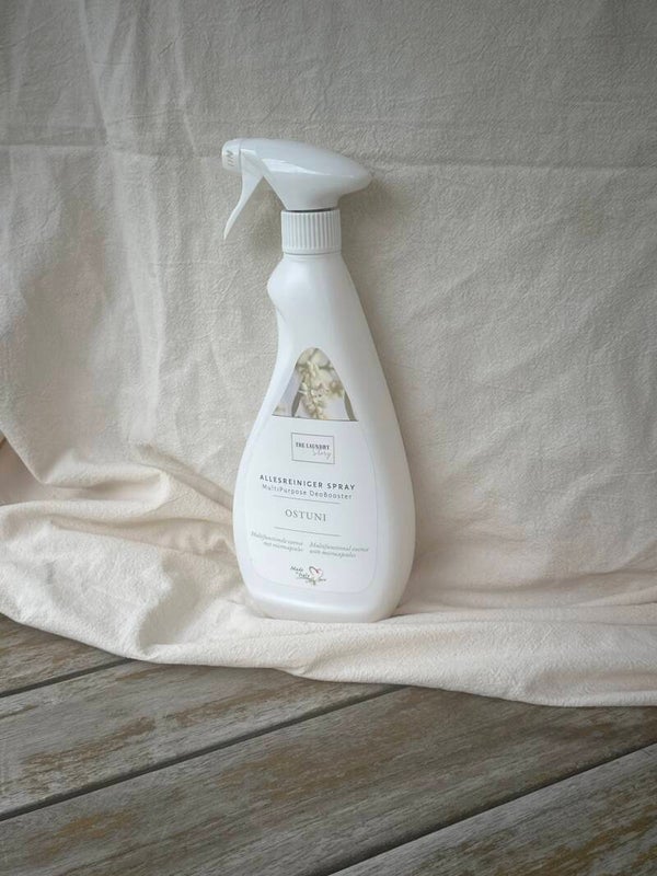 Allesreiniger spray | Ostuni