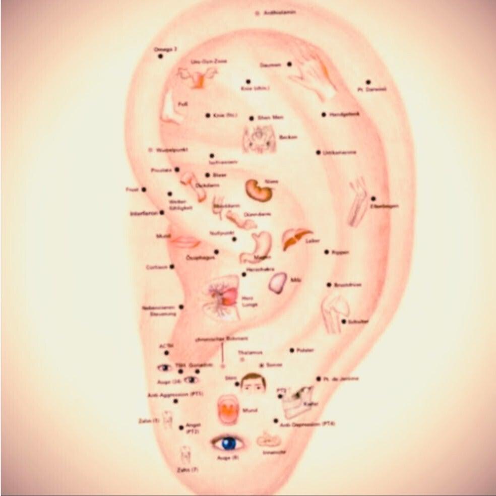 Auriculo therapie - Eerste intake