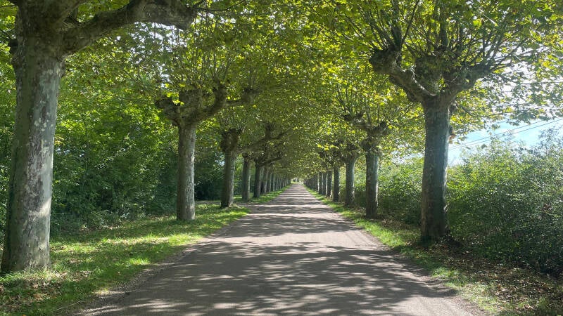 02-71390-1500m2-terrain-zone-nh2-standard.jpg