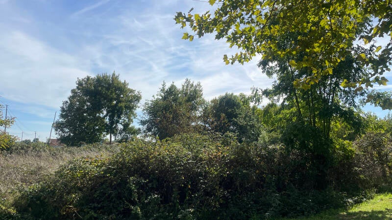 03-71390-1500m2-terrain-zone-nh2-standard.jpg