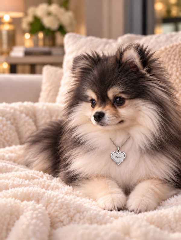 Little Royal Silver Heart Necklace