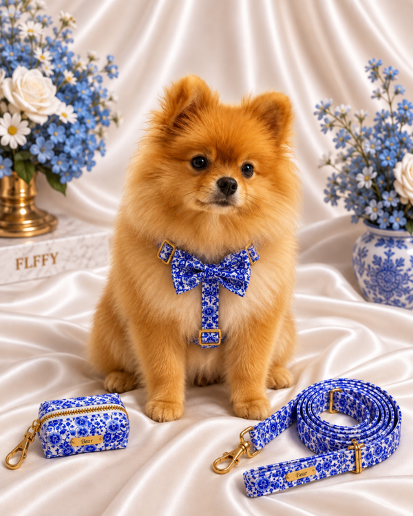 Azure Premium Walking Set