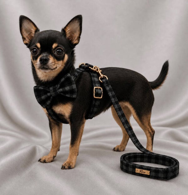 Black Tie Premium Walking Set
