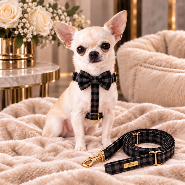 Black Tie Premium Walking Set