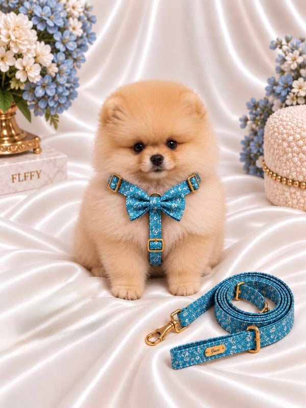 Blue Wave Premium Walking Set