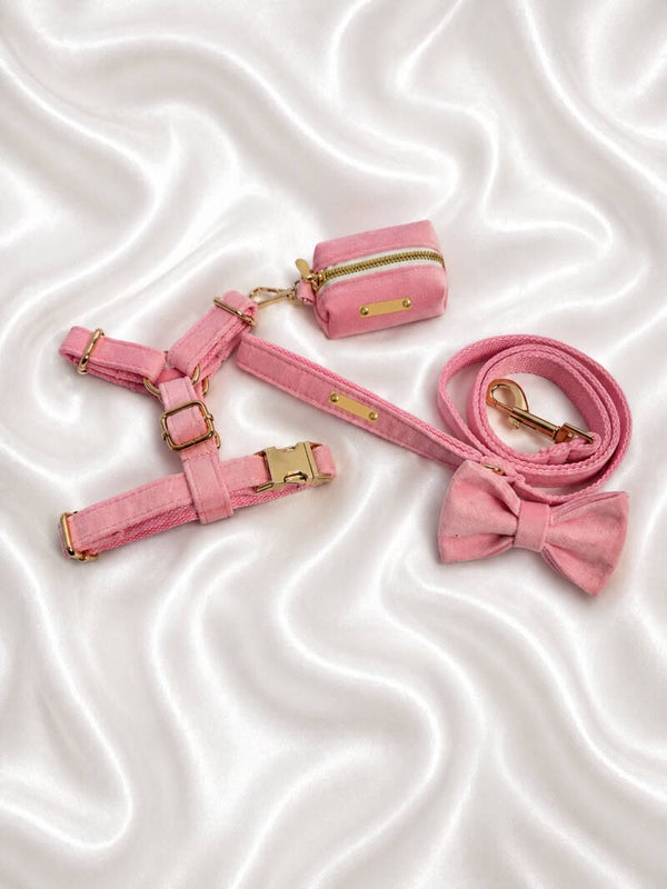 Blush Velvet Walking Set