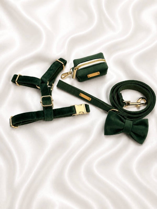 Dark Green Velvet Walking Set