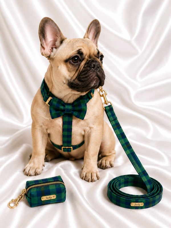 Highland Premium Walking Set
