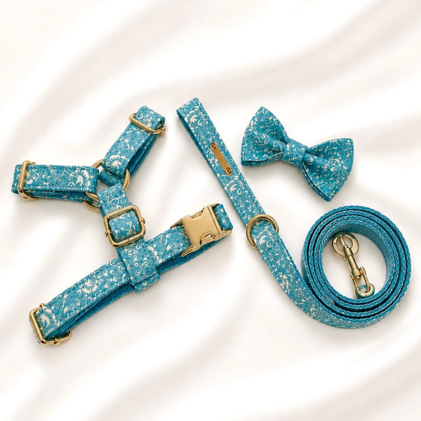 Blue Wave Premium Walking Set