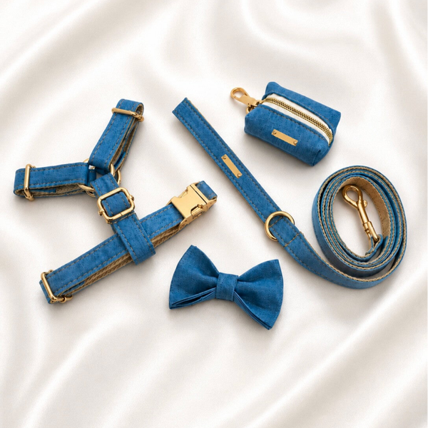 Sky Denim Premium Walking Set