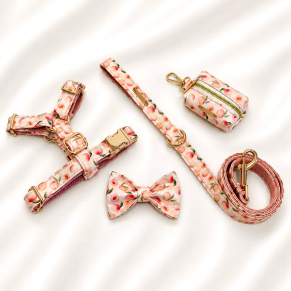 Peach Premium Walking Set