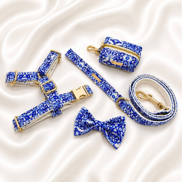 Azure Premium Walking Set