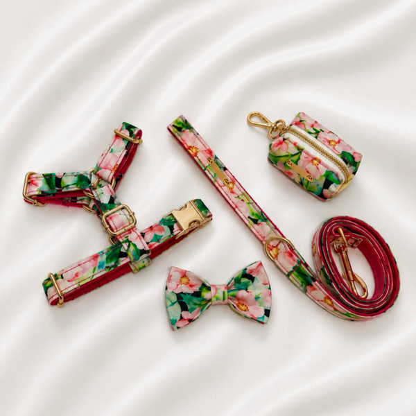 Secret Garden Premium Walking Set