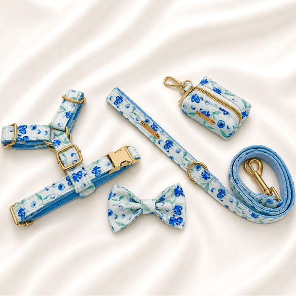 Blueberry Premium Walking Set