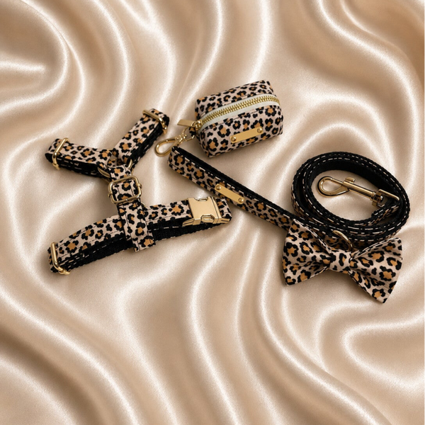 Wild Leopard Premium Walking Set