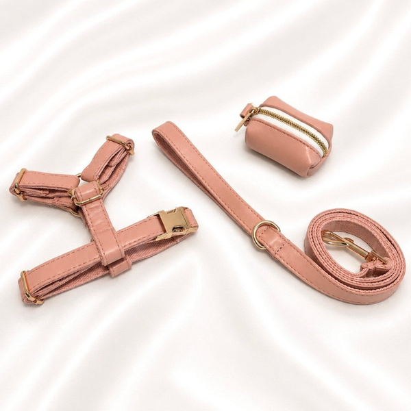 Blush Leather Premium Walking Set