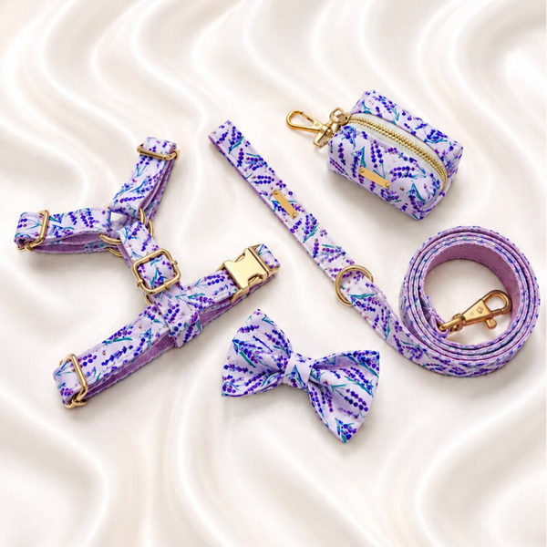 Lavender Bloom Premium Walking Set