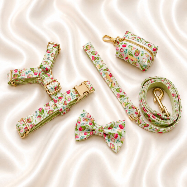 Mint Blossom Premium Walking Set