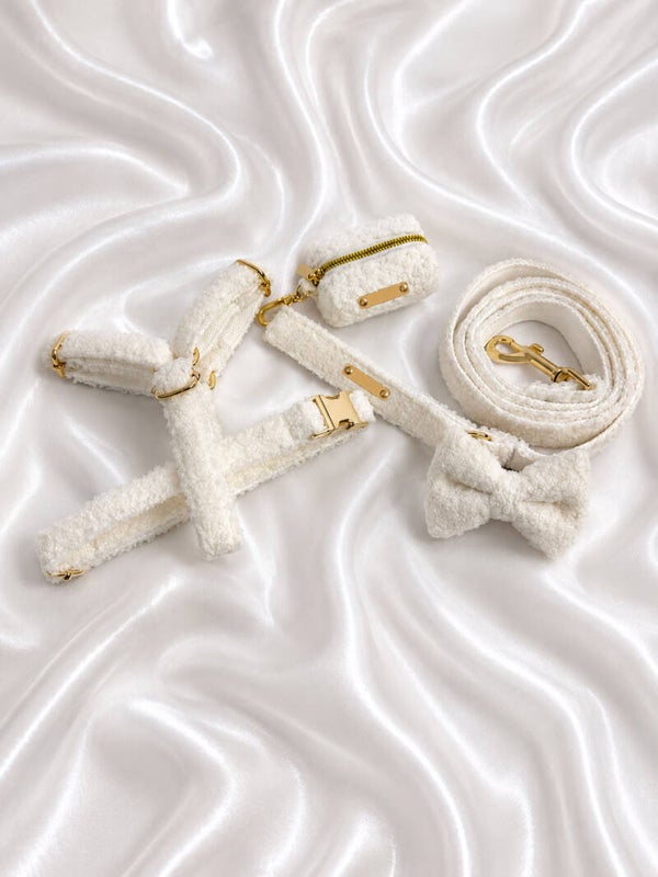 Ivory Teddy Walking Set