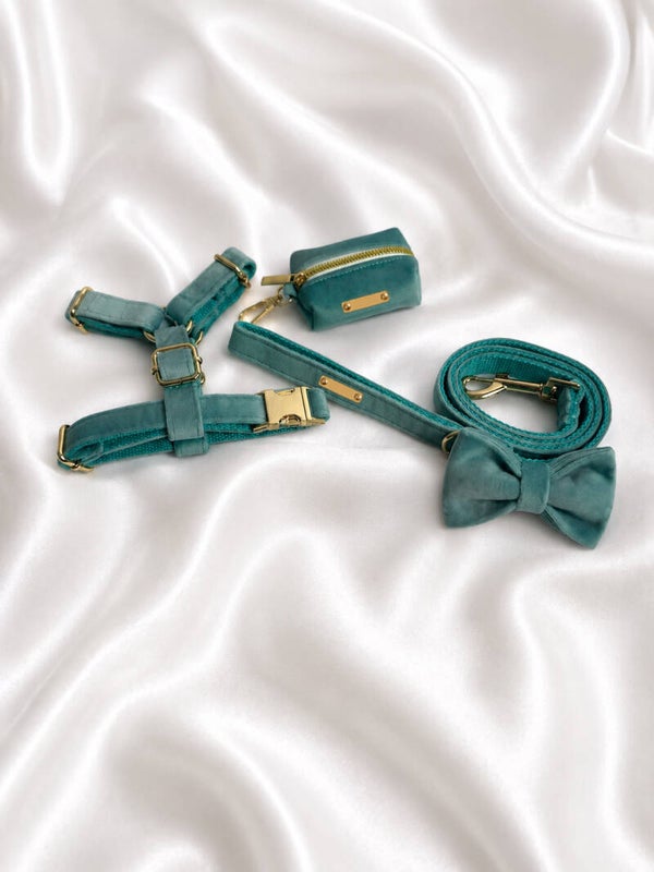 Lake Blue Velvet Walking Set