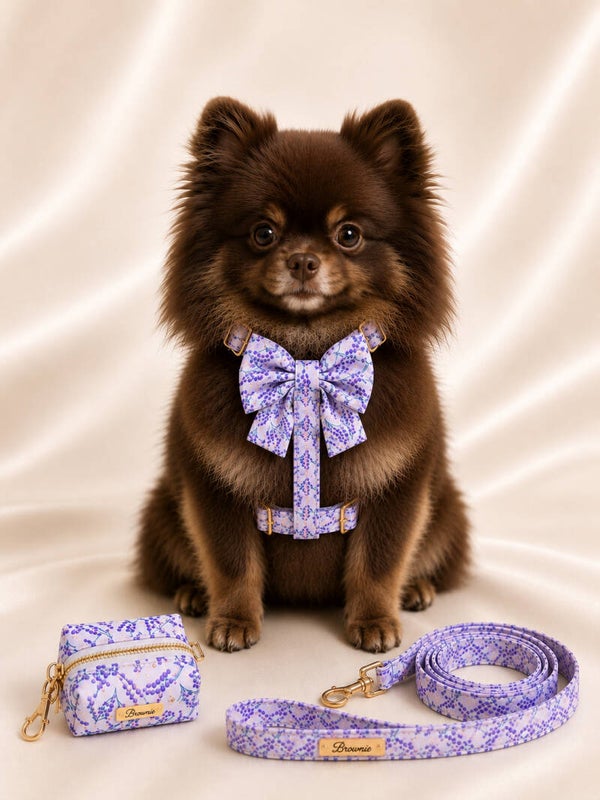Lavender Bloom Premium Walking Set