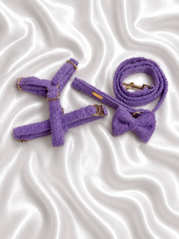 Lavender Teddy Walking Set
