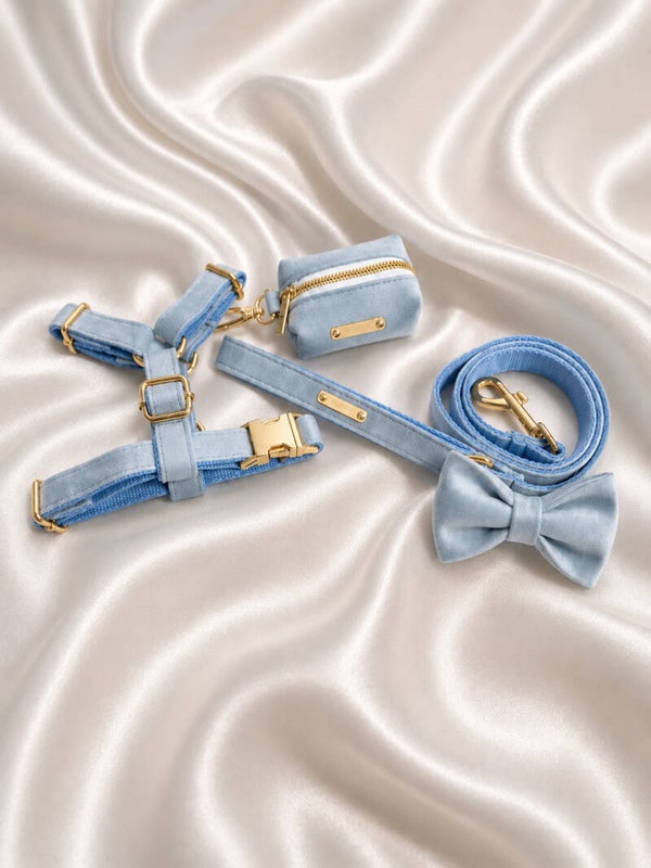 Light Blue Velvet Walking Set