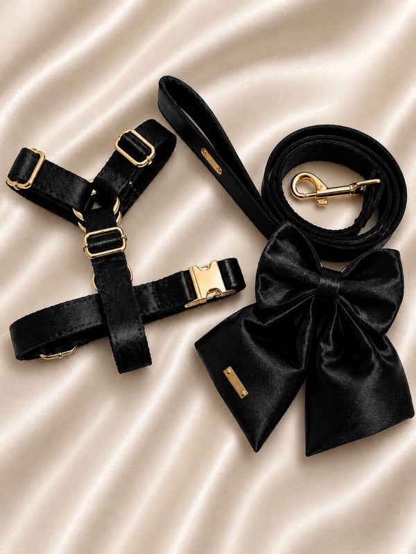 Midnight Noir Satin Walking Set